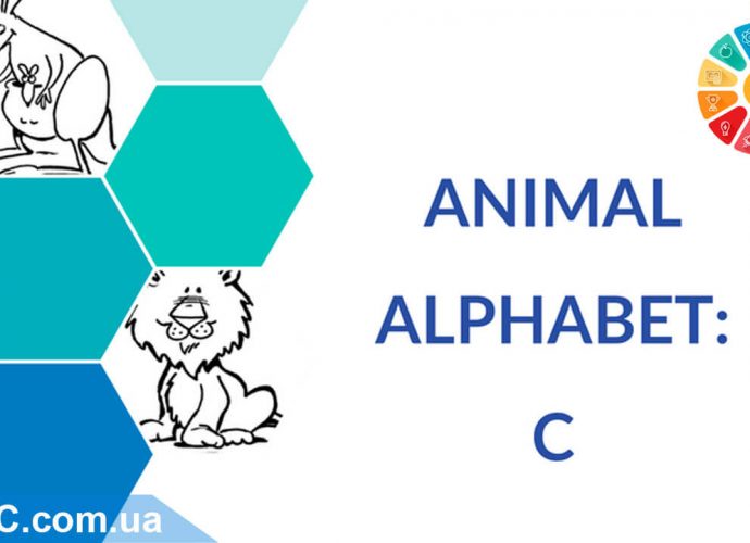 фото Скачать английский алфавит для детей "Животные": буква C