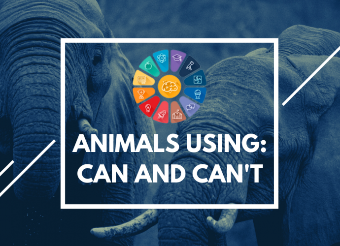 Упражнения животные на английском для детей: "Animals using: can and can't"