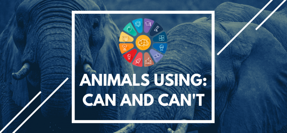 Упражнения животные на английском для детей: "Animals using: can and can't"