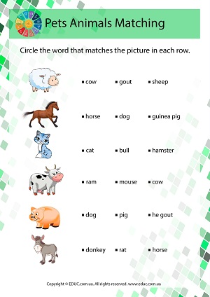 Англійська для дітей: вивчаємо назви тварин - "Pets Animals Matching"