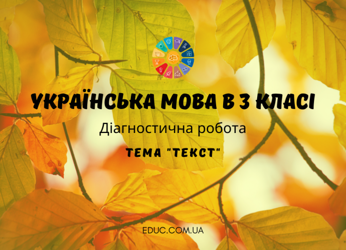 Українська мова 3 клас: діагностична робота - тема "Текст"