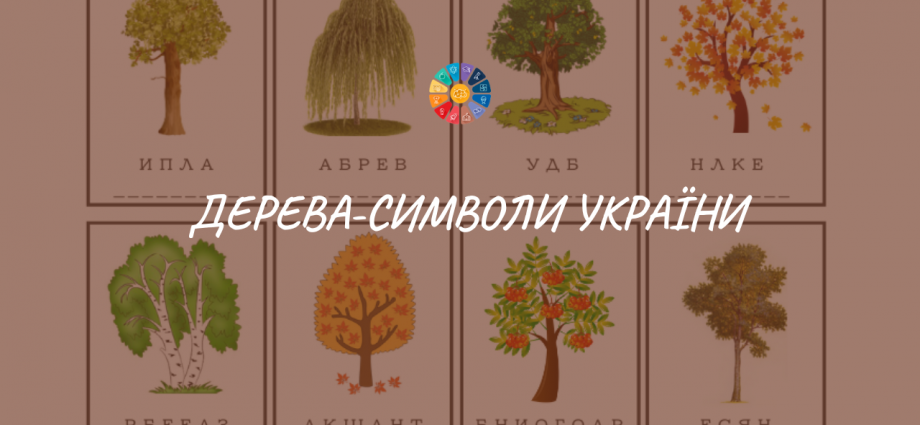 Дерева-символи України: завдання для молодших школярів