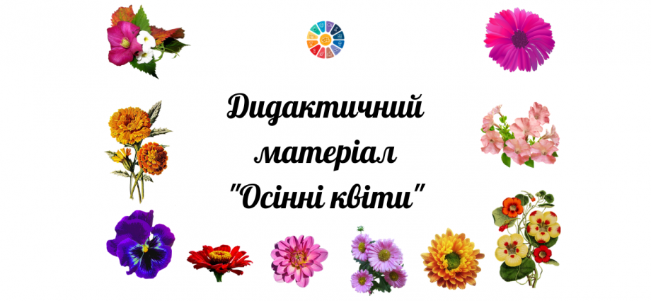 Дидактичний матеріал "Осінні квіти"
