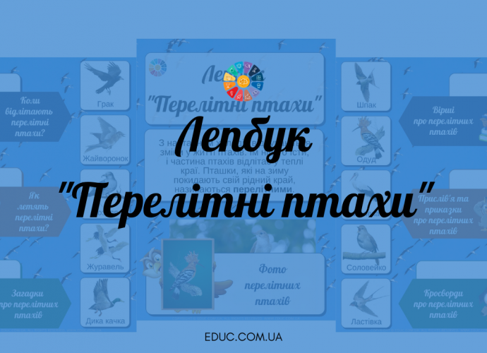 Лепбук "Перелітні птахи" - готовий шаблон