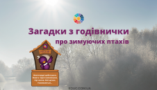 Загадки з годівнички про зимуючих птахів