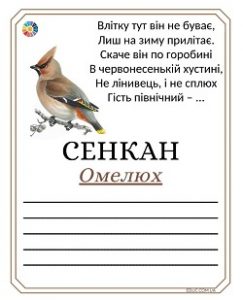 Сенкан з загадками "Зимуючі птахи" - 8 карток з ілюстраціями