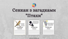 Сенкан з загадками "Птахи" з ілюстраціями