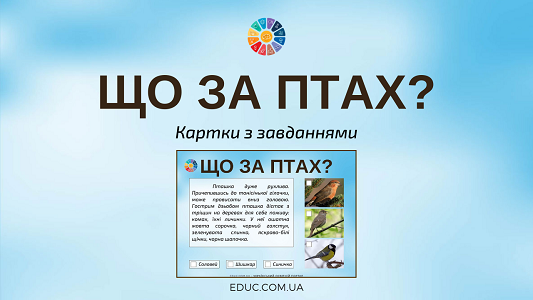 "Що за птах?": дидактичні картки з завданнями