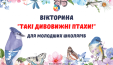 Вікторина "Такі дивовижні птахи!"