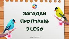 Загадки про птахів з Lego