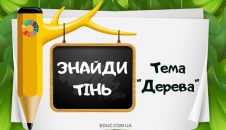 Знайди тінь: тема "Дерева" - дидактичні ігри на уважність