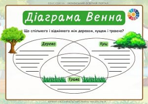 Діаграмма Венна "Що спільного і відмінного між деревом, кущем і травою?"