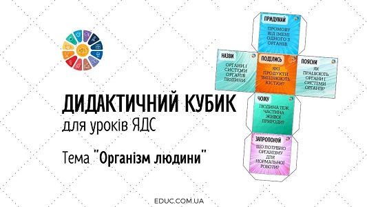 Дидактичний кубик Блума "Організм людини" для уроків ЯДС - EDUC.com.ua
