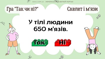 Гра "Так чи ні?" з Леґо: тема "Скелет і м'язи" для уроків ЯДС