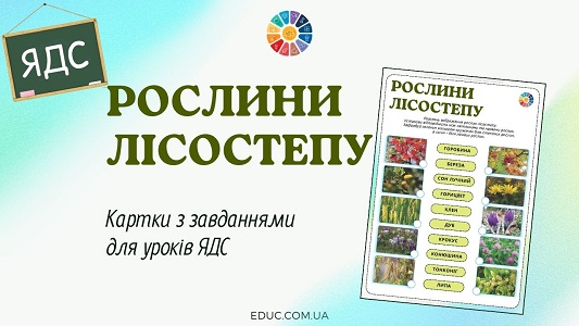 Рослини лісостепу картки з завданнями для уроків ЯДС - EDUC.com.ua