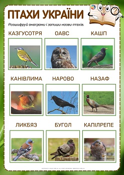 Птахи України анаграми з ілюстраціями 
