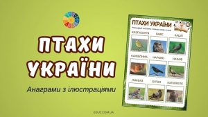 Птахи України анаграми з ілюстраціями - завдання до Дня птахів на EDUC.com.ua