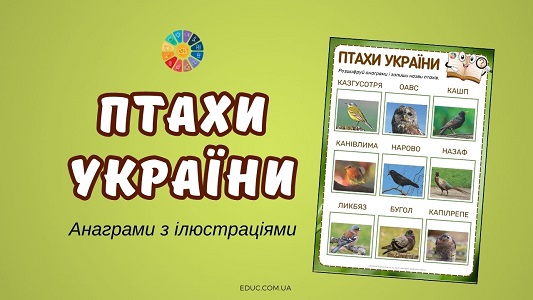 Птахи України анаграми з ілюстраціями - завдання до Дня птахів на EDUC.com.ua