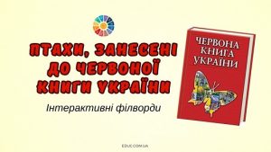 Птахи, занесені до Червоної книги України - інтерактивні філворди на EDUC.com.ua