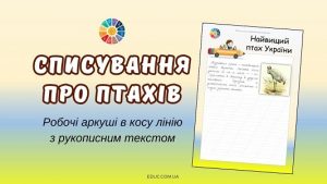 Списування про птахів робочі аркуші в косу лінію з рукописним текстом - EDUC.com.ua