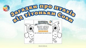Загадки про птахів від тітоньки Сови картки-розгортки з розмальовками - EDUC.com.ua