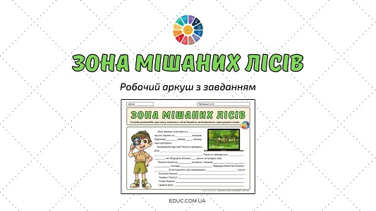 Зона мішаних лісів робочий аркуш з завданням для уроків ЯДС - EDUC.com.ua