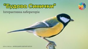 Інтерактивна лабораторія Будова синички