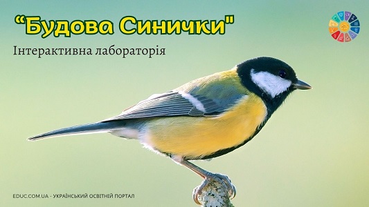 Інтерактивна лабораторія Будова синички