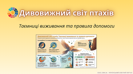 Інфографіка «Дивовижний світ птахів: таємниці виживання та правила допомоги»